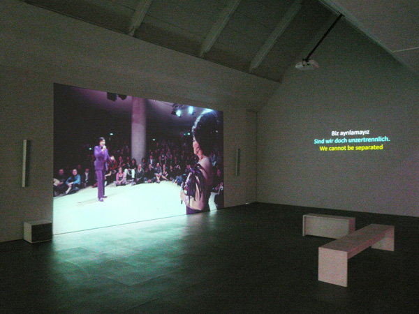 42_18-wong2011bijidivavideo3